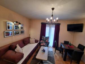 TV a/nebo společenská místnost v ubytování Tara Apartmani Malešević - 1