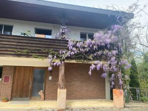 Gallery image of Apartments in Leafy Suburb in Kehrsatz