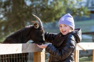 Loomad hotelli aladel või selle läheduses
