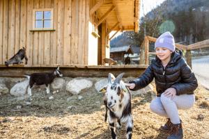 Loomad hotelli aladel või selle läheduses