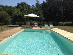 - une piscine avec 2 chaises et un parasol dans l'établissement Chambres d’hôtes la guirosse, à Sainte-Eulalie-en-Born