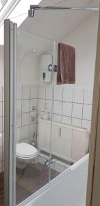 a bathroom with a toilet and a sink at Zum alten Landrat in Monschau