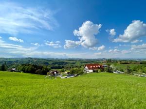 a field of green grass with houses in the distance at eckbergerhof in Gamlitz
