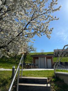 Zahrada ubytování eckbergerhof