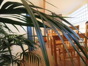 una planta frente a una mesa y sillas en Casa Belos Ares, en Ferrel