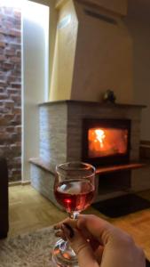a person holding a glass of wine in front of a fireplace at Tara Apartmani Malešević - 2 in Bajina Bašta