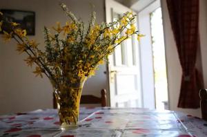 un vase rempli de fleurs jaunes assises sur une table dans l'établissement gite du heidenberg, à Osenbach