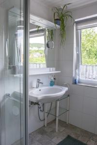 a bathroom with a sink and a glass shower at Ferienwohnung Lahnmündung mit kostenlosem Parkplatz in Lahnstein