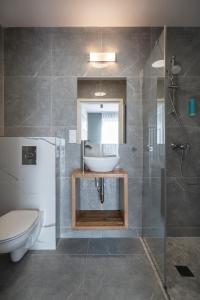 a bathroom with a sink and a toilet and a shower at W Starym Porcie Krynica Morska in Krynica Morska