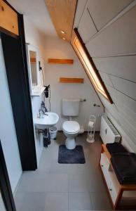 a small bathroom with a toilet and a sink at FEWO im alten Bahnhof in Niederroßbach