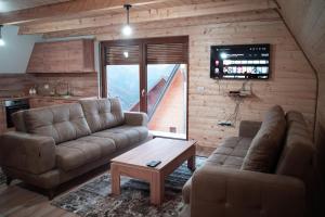 sala de estar con 2 sofás y TV en Villa Route Rugove, en Peje
