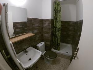 een badkamer met een wastafel, een toilet en een douche bij Studio 4 couchages Port Du Cap d'Agde in Cap d'Agde +6 foto's