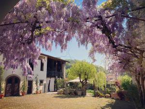 Zahrada ubytování B&B Corte Seguini