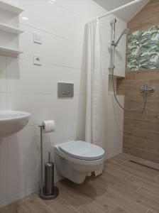 a bathroom with a toilet and a sink and a shower at Pod Jaskółką in Ustka