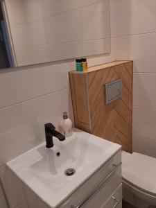 y baño con lavabo y aseo. en KAWALERKA 28M SALON Z KUCHNIĄ CENTRUM NOWY SĄCZ, en Nowy Sącz