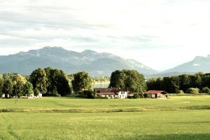 a house in a field with mountains in the background at Ferienwohnung ChiemseeAlpenBlick in Breitbrunn am Chiemsee