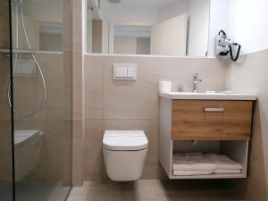 a bathroom with a toilet and a sink and a shower at Casa La Fayette in Timişoara