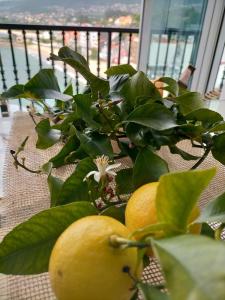 Balkon lub taras w obiekcie Piso El Acantilado