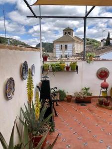 a patio with potted plants and a white wall at La casa del Sur in Granada