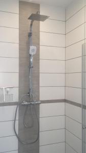 a shower with a shower head in a bathroom at "Heimathafen" mit Sauna in Hohenkirchen