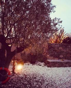 a tree with snow on the ground next to a wall at casa paz tavira in Tavira