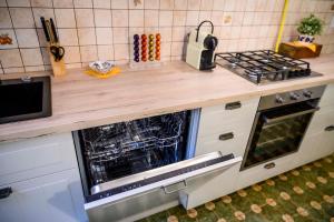 Kuchyň nebo kuchyňský kout v ubytování Apartment Charles + 13 fotografií