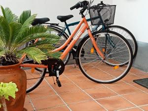 蓬塔德爾加達的住宿－Scenic Comfort，橘子自行车停在植物旁边