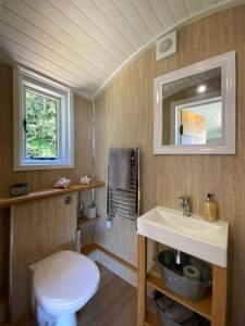 a bathroom with a toilet and a sink and a mirror at Little Idyll shepherds hut in Chester