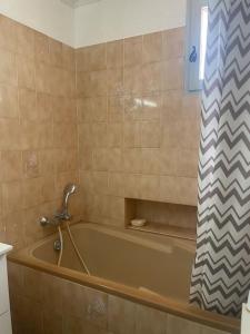 a bathroom with a tub with a shower curtain at Coucher de soleil en Camargue in Salin-de-Giraud +35 photos