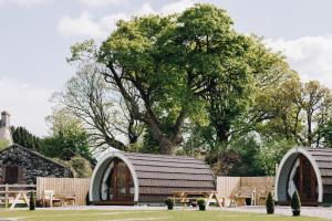 a garden with two domed buildings and a tree at North Coast 9 Glamping in Cape Castle