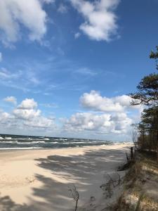 uma praia arenosa com o oceano ao fundo em Chata Lawendowa em Sasino