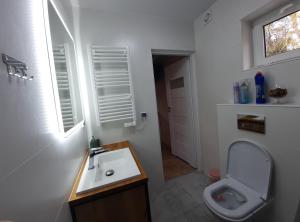 uma casa de banho com um lavatório, um WC e uma janela. em Noclegi Różanka em Radomierz