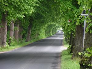 Fotografia z galérie ubytovania Wantaris 2 - domki letniskowe Mielno-Mielenko v destinácii Mielenko