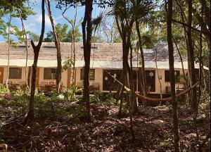 un bâtiment au milieu d'une forêt d'arbres dans l'établissement Δ CaSa ArkAanA Δ NatUrE LoVeRs' WeLLNesS SaNcTuaRy, à Tulum