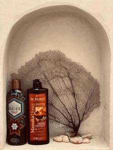 a shelf with a bottle of soap and a plant at Δ CaSa ArkAanA Δ NatUrE LoVeRs' WeLLNesS SaNcTuaRy in Tulum