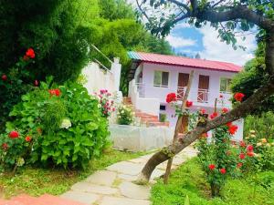 Zahrada ubytování Ramneek Homestay