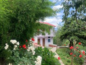 Zahrada ubytování Ramneek Homestay