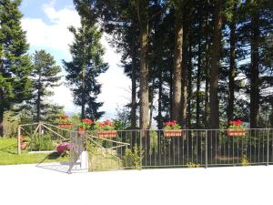 A garden outside BELLA TUSCANY - Residence