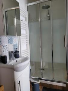 a bathroom with a shower and a sink at La maison de toujours in La Garenne-Colombes