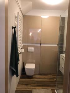 łazienka z toaletą i przeszklonym prysznicem w obiekcie Zielony apartament z widokiem na jezioro w mieście Złotów