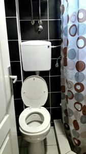 a toilet in a bathroom with a black tiled wall at Apartman river side in Soko Banja +11 photos