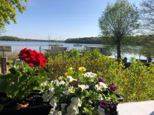 einen Blumengarten mit Blick auf das Wasser in der Unterkunft Gast-& Logierhaus Am Rheinsberger See in Rheinsberg