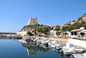 a bunch of boats are docked in a harbor at Villa Arborea vista mare in Sperlonga