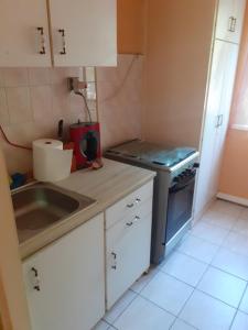 een kleine keuken met een wastafel en een fornuis bij Jókai Apartman Békéscsaba in Békéscsaba