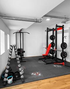 Fitness centrum a/nebo fitness zařízení v ubytování Traum Panorama Apartment mit Berg & Seeblick