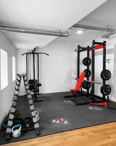 a gym with two treadmills and weights at Traum Panorama Apartment mit Berg & Seeblick in Altmünster