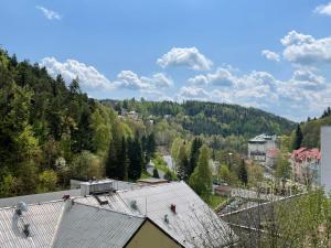 Widok na góry z tego apartamentu