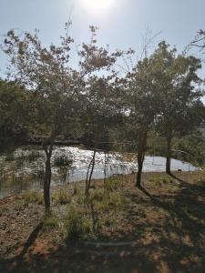 un grupo de árboles frente a un cuerpo de agua en Luxury Room - Sielevreugde, en Modimolle