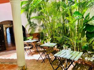a room with tables and potted plants at Suite Colonial by Cristi in Santo Domingo