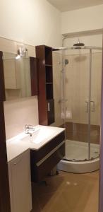 uma casa de banho com um lavatório e um chuveiro em Lili em Novigrad Istria